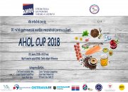 AHOL CUP 2018